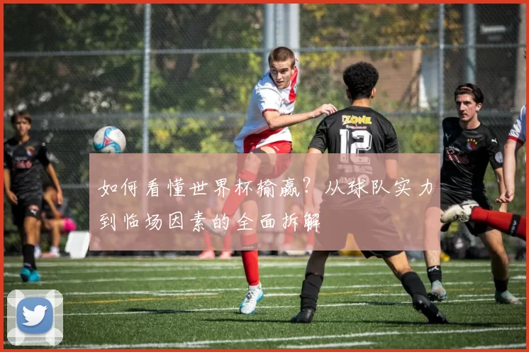 如何看懂世界杯输赢？从球队实力到临场因素的全面拆解