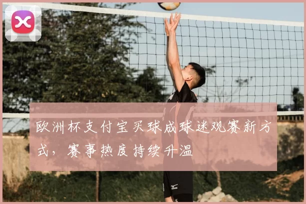 欧洲杯支付宝买球成球迷观赛新方式,赛事热度持续升温