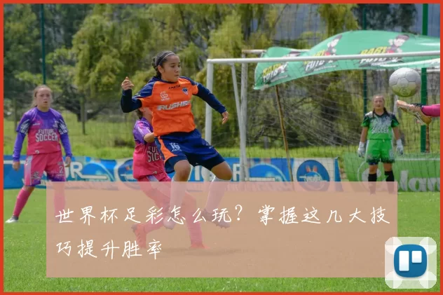 世界杯足彩怎么玩?掌握这几大技巧提升胜率