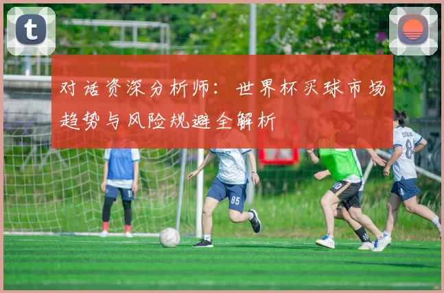 对话资深分析师:世界杯买球市场趋势与风险规避全解析
