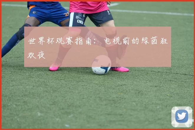世界杯观赛指南:电视前的绿茵狂欢夜
