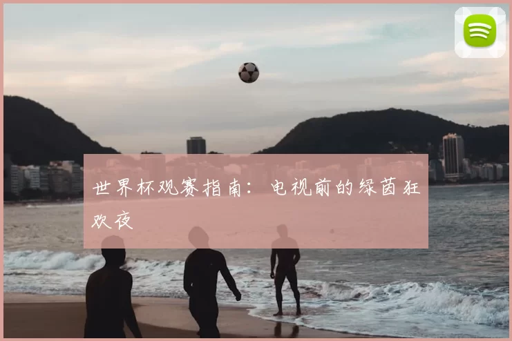 世界杯观赛指南:电视前的绿茵狂欢夜
