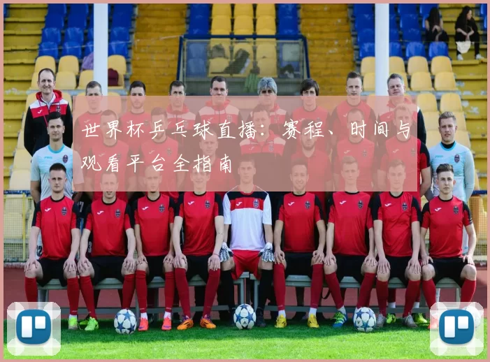 世界杯乒乓球直播：赛程、时间与观看平台全指南