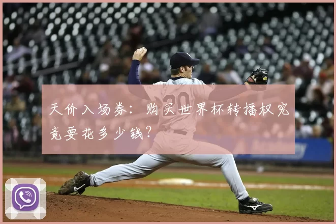 天价入场券:购买世界杯转播权究竟要花多少钱?